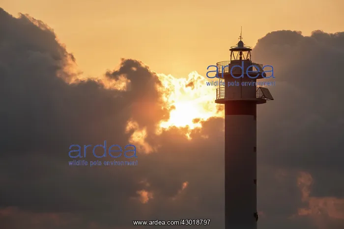 : Lighthouse at sunrise with the sun behind the clouds : Lighthouse at sunrise with the sun behind the clouds
