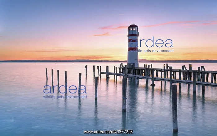  : Lighthouse at sunset, Podersdorf am See, Lake Neusiedl