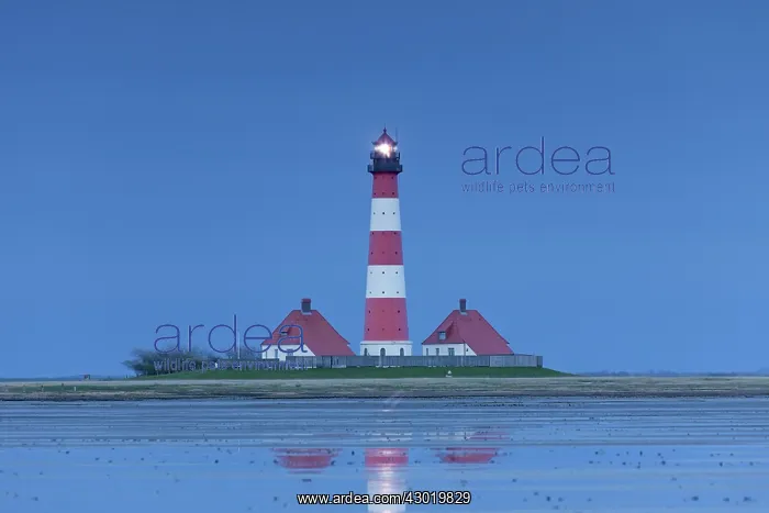 : Lighthouse Westerhever : Lighthouse Westerhever