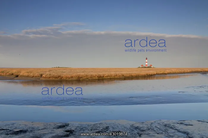 : Lighthouse Westerhever : Lighthouse Westerhever