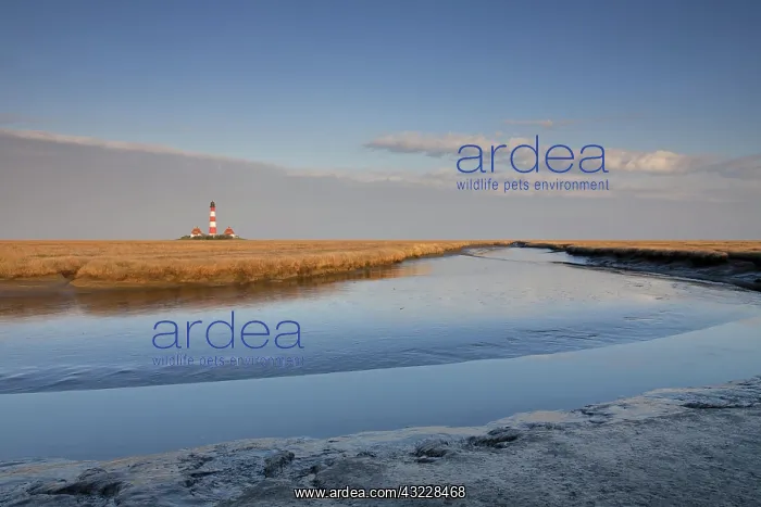 : Lighthouse Westerhever : Lighthouse Westerhever
