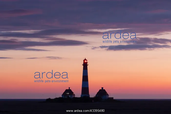: Lighthouse Westerhever : Lighthouse Westerhever