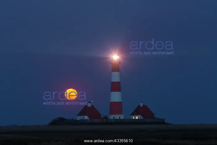 : Lighthouse Westerhever : Lighthouse Westerhever