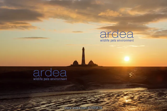 : Lighthouse Westerhever : Lighthouse Westerhever