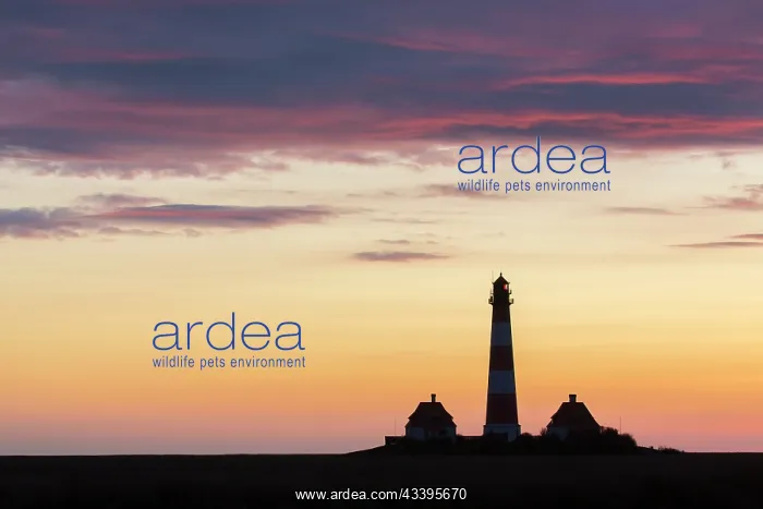 : Lighthouse Westerhever : Lighthouse Westerhever