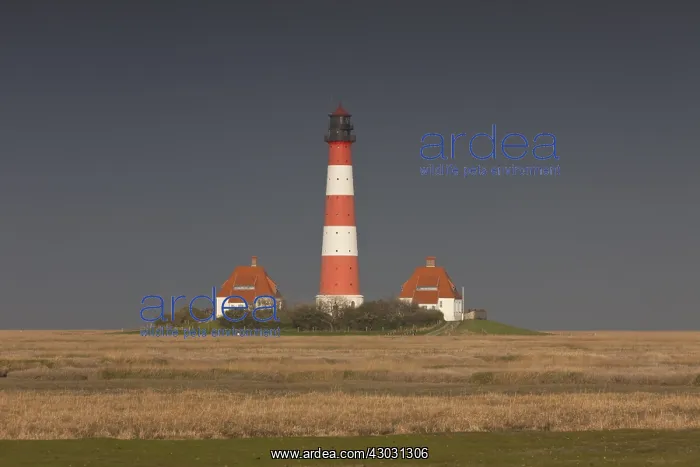 : Lighthouse Westerhever - National Park Waddensea - Germany : Lighthouse Westerhever - National Park Waddensea - Germany