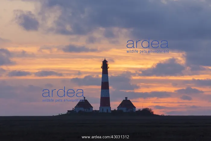 : Lighthouse Westerhever - National Park Waddensea - Germany : Lighthouse Westerhever - National Park Waddensea - Germany