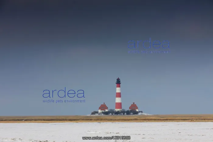 : Lighthouse Westerhever in snow : Lighthouse Westerhever in snow