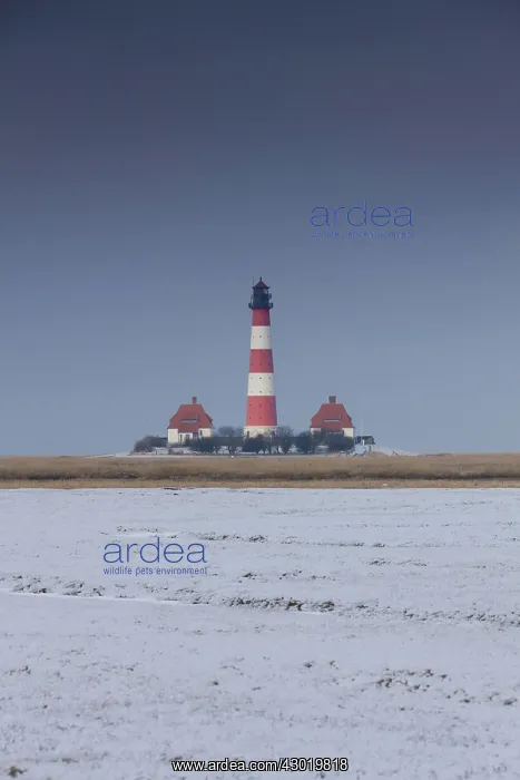 : Lighthouse Westerhever in snow : Lighthouse Westerhever in snow