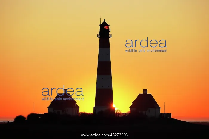  : Lighthouse Westerheversand at sunset, Schleswig-Holstein