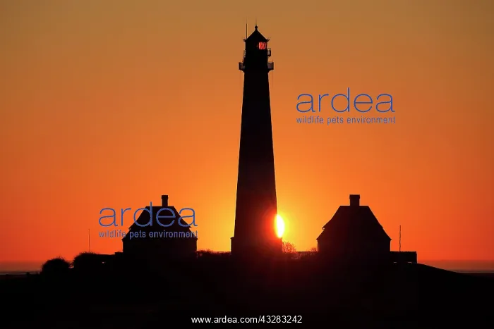 : Lighthouse Westerheversand at sunset, Schleswig-Holstein : Lighthouse Westerheversand at sunset, Schleswig-Holstein