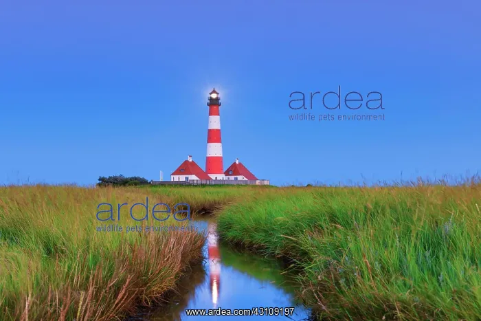 : Lighthouse Westerheversand, Westerhever, North Friesland : Lighthouse Westerheversand, Westerhever, North Friesland