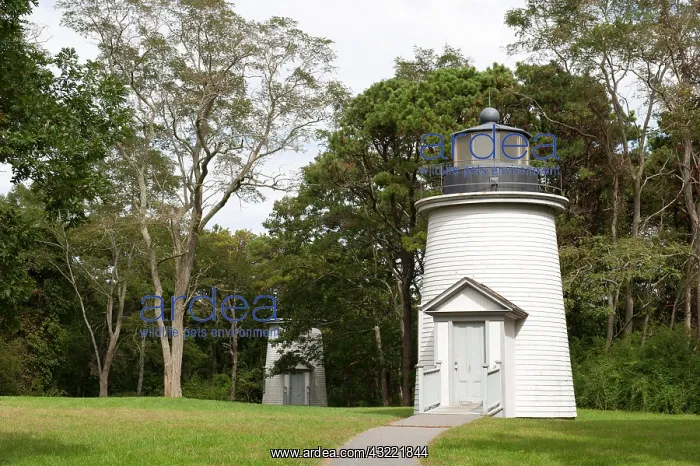 : Two of the three lighthouses known as the Three : Two of the three lighthouses known as the Three