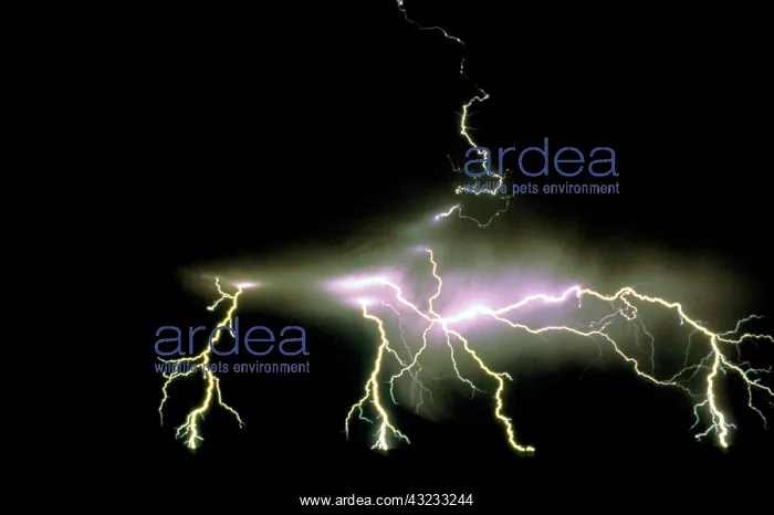 : Lightning : Lightning