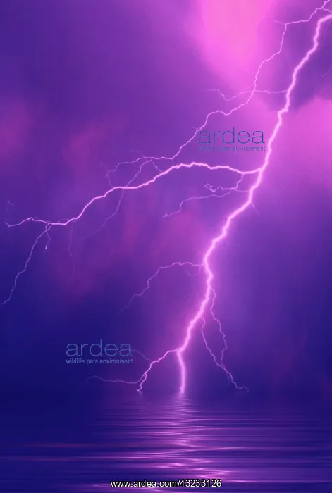 : Lightning bolts over water. (digital composite) : Lightning bolts over water. (digital composite)