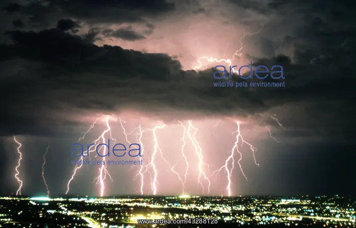 : Lightning: cloud to ground bolts strike near Three : Lightning: cloud to ground bolts strike near Three
