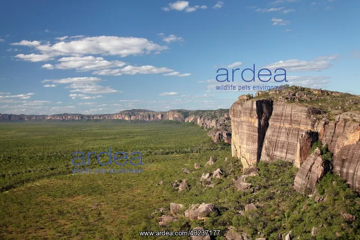 : Lightning Dreaming - home of Aboriginal : Lightning Dreaming - home of Aboriginal