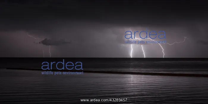 : Lightning above a lagoon, Lithuania, Klaipeda : Lightning above a lagoon, Lithuania, Klaipeda