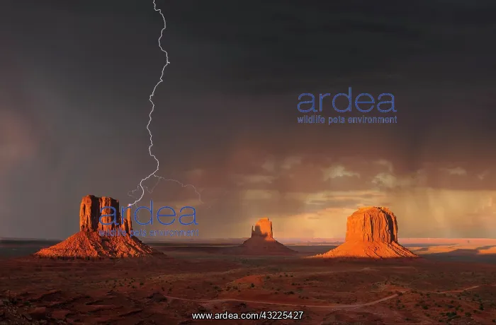 : Lightning strikes during a thunderstorm in the evening : Lightning strikes during a thunderstorm in the evening