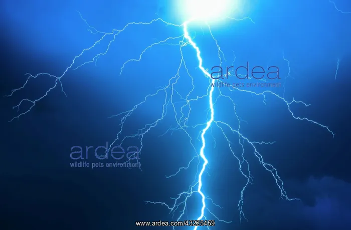 : Lightning during a thunderstorm, Enger, North Rhine-Westphal : Lightning during a thunderstorm, Enger, North Rhine-Westphal
