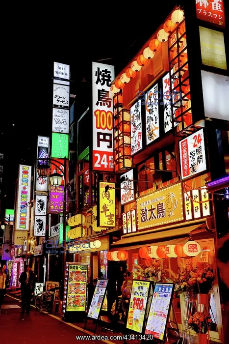 : Lights and illuminated signs of Kabukicho in Shinjuku, Tokyo : Lights and illuminated signs of Kabukicho in Shinjuku, Tokyo