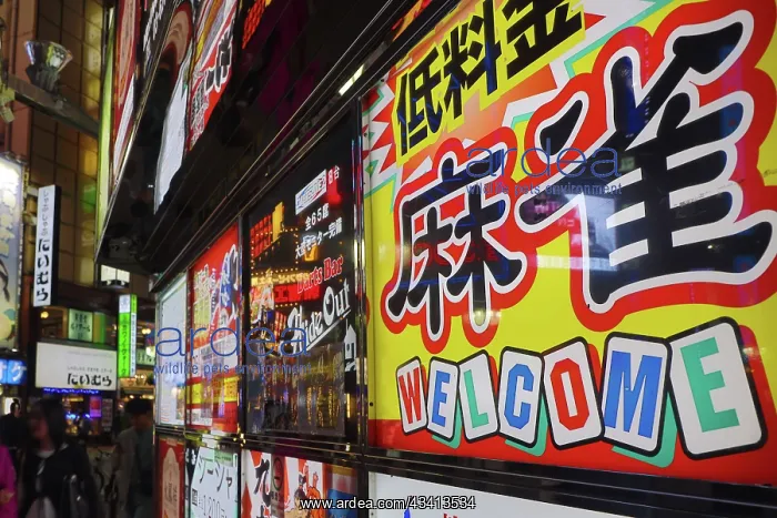 : Lights and illuminated signs of Kabukicho in Shinjuku, Tokyo : Lights and illuminated signs of Kabukicho in Shinjuku, Tokyo