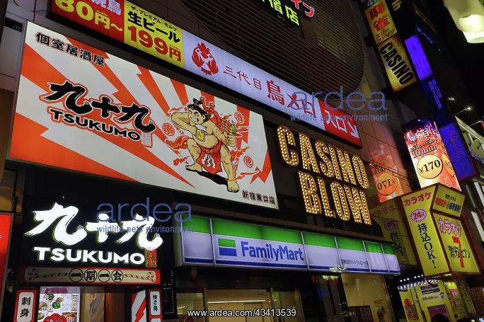 : Lights and illuminated signs of Kabukicho in Shinjuku, Tokyo : Lights and illuminated signs of Kabukicho in Shinjuku, Tokyo