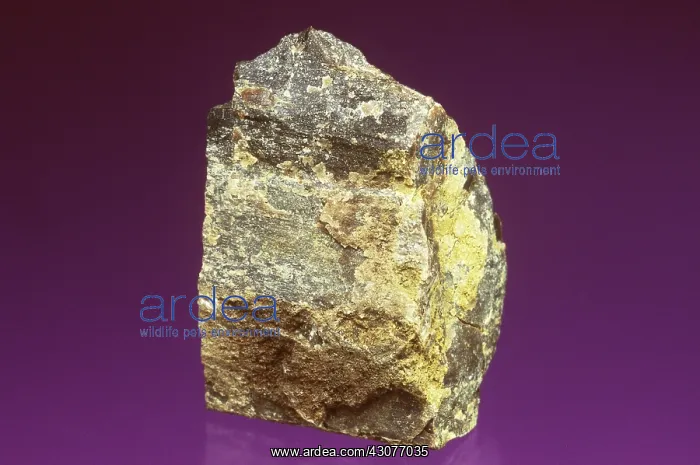 : Lignite, a brown colored coal with a high sulfur and moisture content : Lignite, a brown colored coal with a high sulfur and moisture content