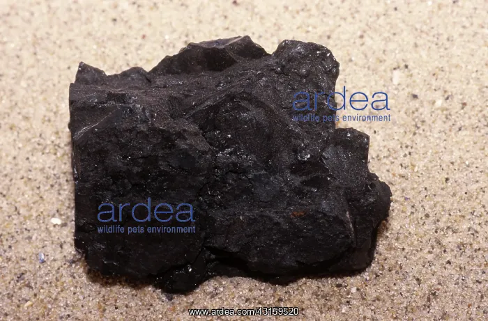 : Lignite, also called brown coal, is formed by the compression of peat : Lignite, also called brown coal, is formed by the compression of peat