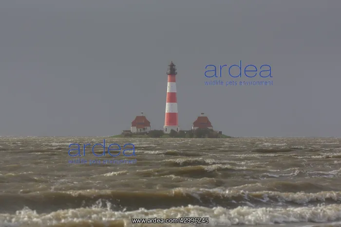 : Ligthouse Westerhever at high tide - Waddsea national : Ligthouse Westerhever at high tide - Waddsea national