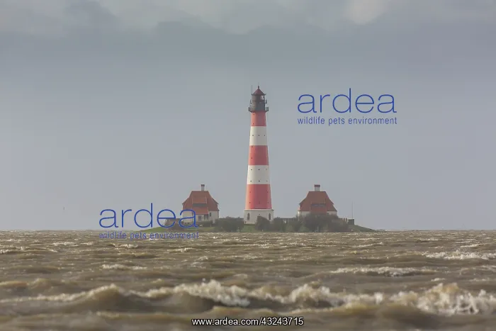 : Ligthouse Westerhever at high tide - Waddsea national : Ligthouse Westerhever at high tide - Waddsea national