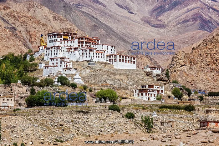  : Likir Gompa Tibetan Buddhist monastery in Himalayas