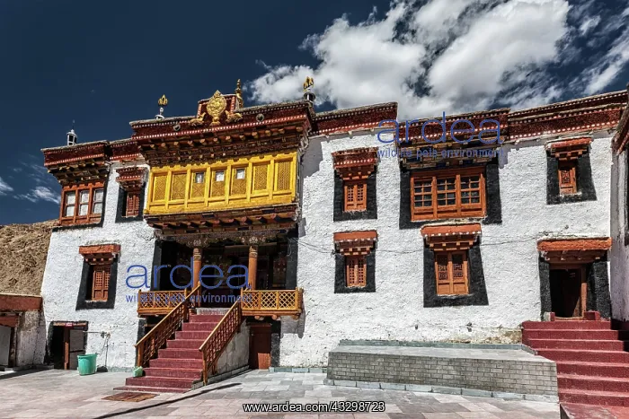 : Likir Gompa (Tibetan Buddhist monastery). Ladakh : Likir Gompa (Tibetan Buddhist monastery). Ladakh