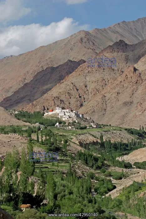  : Likir Monastery, Ladakh, India