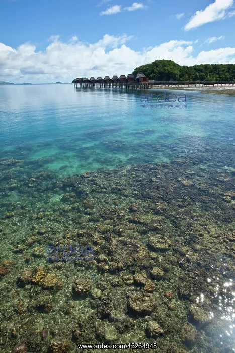 : Likuliku Lagoon Resort, Malolo Island, Mamanucas : Likuliku Lagoon Resort, Malolo Island, Mamanucas