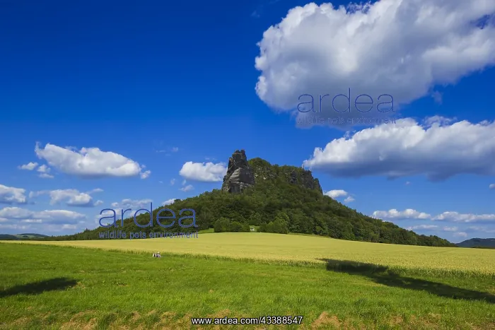 : The Lilienstein is one of the most prominent mountains : The Lilienstein is one of the most prominent mountains