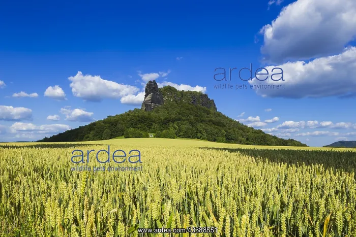 : The Lilienstein is one of the most prominent mountains : The Lilienstein is one of the most prominent mountains