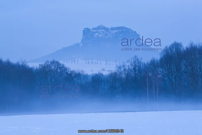 : Lilienstein in winter : Lilienstein in winter