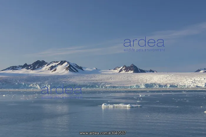 : Lilliehoeoek-Glacier : Lilliehoeoek-Glacier