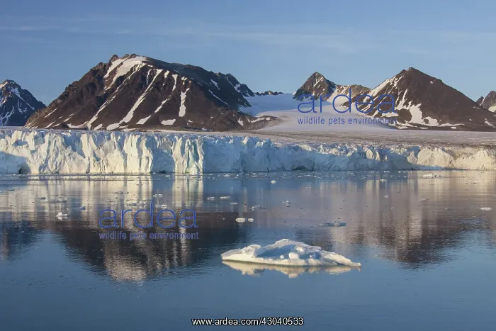 : Lilliehoeoek-Glacier : Lilliehoeoek-Glacier