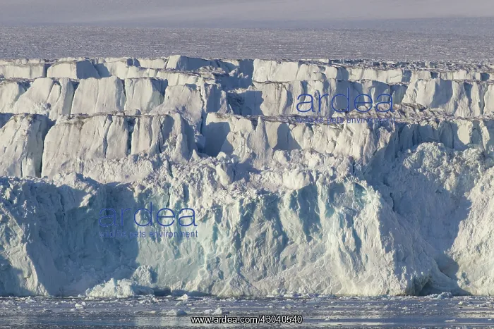 : Lilliehoeoek-Glacier : Lilliehoeoek-Glacier