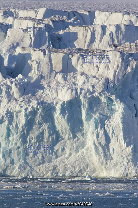 : Lilliehoeoek-Glacier : Lilliehoeoek-Glacier
