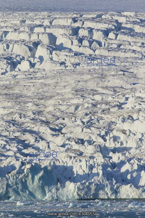 : Lilliehoeoek-Glacier : Lilliehoeoek-Glacier