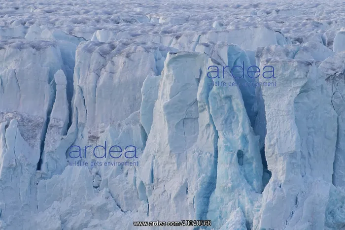 : Lilliehoeoek-Glacier : Lilliehoeoek-Glacier