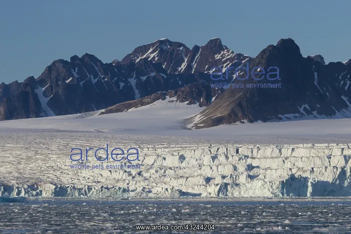 : Lilliehoeoek-Glacier : Lilliehoeoek-Glacier