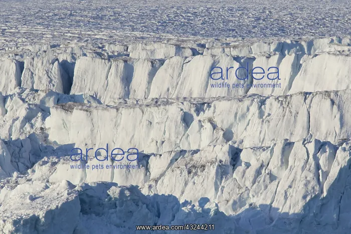 : Lilliehoeoek-Glacier : Lilliehoeoek-Glacier
