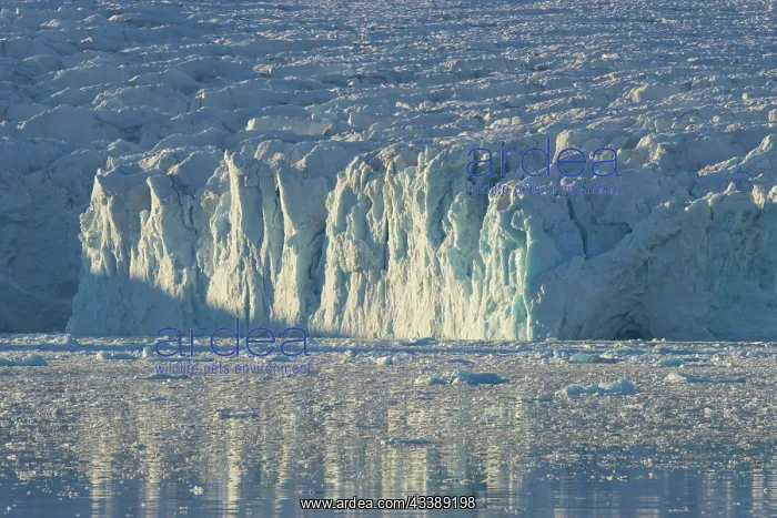 : Lilliehoeoek-Glacier : Lilliehoeoek-Glacier