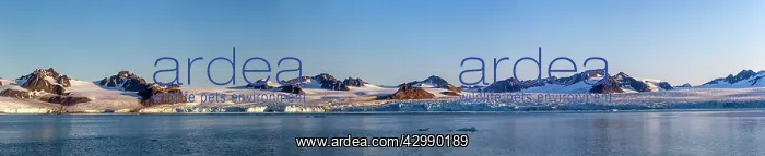 : Lilliehook Glacier : Lilliehook Glacier