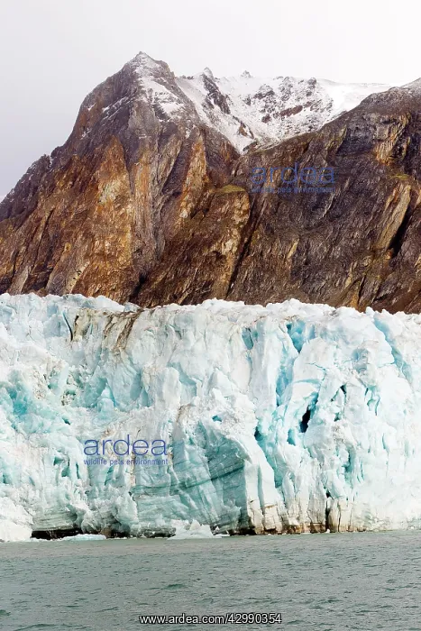 : Lilliehook Glacier : Lilliehook Glacier