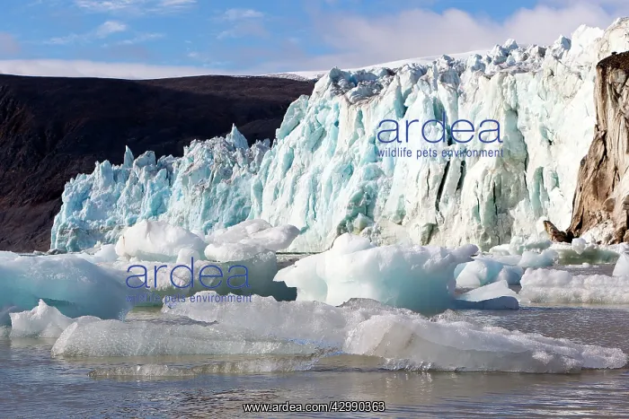 : Lilliehook Glacier : Lilliehook Glacier